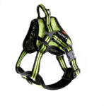 ARKA Kutyamenhely Arka Haok Arka S sárga