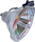 Hitachi DT00665 lampă compatibilă fără modul (DT00665)