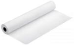 Epson production canvas matte, 610mm x 12, 2m C13S045295 (C13S045295)