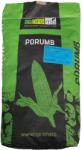 Institut Fundulea Samanta Porumb FUNDULEA 475M, FAO 350, Semi-Timpuriu - Sac 25.000 boabe (PR-101604)