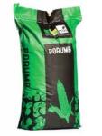 Ciproma Samanta Porumb FELIX, FAO 400, genetica Fundulea OLT - Sac 25.000 boabe (PR-102960)