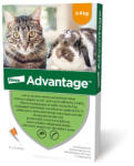 Advantage Spot-on pentru pisici 0, 4 ml (până la 4 kg)