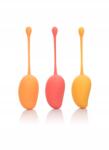 CalExotics Kegel Training Set Mango Assortment (716770092410)