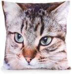 Takoy Velúr díszpárnahuzat ANIMAL cuki cicás mintával