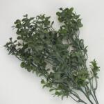  Buxus csokor sötétzöld