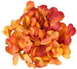  Hortenzia virágfej 10cm terrakotta - kosarbolt