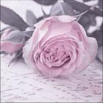 Ambiente Mary Vintage papírszalvéta 33x33cm, 20db-os