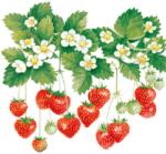 Ambiente Summer Fruits papírszalvéta 33x33cm, 20db-os