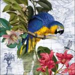 Ambiente Ara papírszalvéta 33x33cm, 20db-os