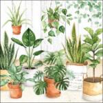 Ambiente Urban Jungle papírszalvéta 33x33cm, 20db-os