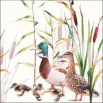 Ambiente Ducks Couple papírszalvéta 33x33cm, 20db-os