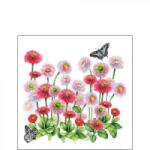 Ambiente Bellis papírszalvéta 25x25cm, 20db-os