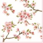 Easy Life Papírszalvéta 33x33cm, Sakura, 20db-os