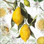Ambiente Lemon papírszalvéta 33x33cm, 20db-os