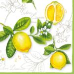 Ambiente Citrus Limonum papírszalvéta 33x33cm, 20db-os