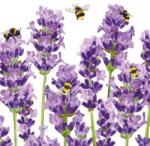 PPD Papírszalvéta 25x25cm, 20db-os