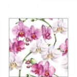 Ambiente Elegant orchids white papírszalvéta 25x25cm, 20db-os