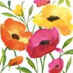 Ambiente Aquarell poppy papírszalvéta 33x33cm, 20db-os