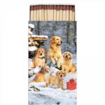 Ambiente Golden retriever puppies gyufa