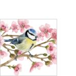 PPD Szalvéta 25x25cm, 20 db-os Oiseau Printemps