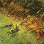 Ambiente Running Rabbits papírszalvéta 33x33cm, 20db-os