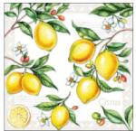 Ambiente Citrus papírszalvéta 25x25cm, 20db-os