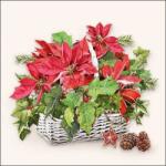 Ambiente Poinsettia In Basket papírszalvéta 33x33cm, 20 db-os