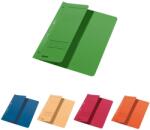 Leitz Dosar carton color cu capse, coperta 1/2, 250 g/mp, Leitz (LZ37400035)