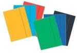  Mapa cu elastic din carton plastifiat (MCP01)