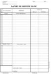  Raport de gestiune zilnic (TIP128)