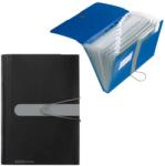 Centrum Mapa din plastic cu elastic cu 12 compartimente, Herlitz (11208394)