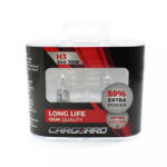 Carguard Set doua becuri halogen Carguard H3 24V 70W