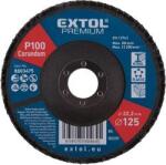 Extol Premium lamellás csiszoló P100, 125x22mm (8803475)