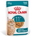 Royal Canin AGEING 11+ Jelly eledel zselében 11 év feletti öregedő macskák számára 12 x 85 g