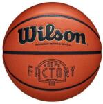 Wilson Léggömb Wilson Evolution Hoops Factory 6 barna