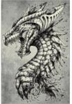 Delta Carpet Covor Dreptunghiular, 200 x 300 cm, Gri, Kolibri Dragon 11611 (KOLIBRI-11611-190-23) Covor