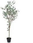 Ixia Eukaliptusz műnövény (magasság 180 cm) Eucalyptus - Ixia