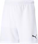 PUMA Teamrise short jr 128