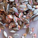 Zodiac Cirkónia zabszem Copper AB