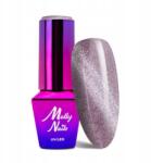 MOLLY Nails Hibrid Körömlakk Mollynails 8g Cay Eye Womanity Steel Nr448 (Lakier hybrydowy do paznokci 8g brokat szary)