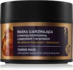 Farmona Natural Cosmetics Laboratory Jantar Amber Essence маска за коса за чуплива и къдрава коса 200ml