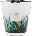 Baobab Collection Rainforest Amazonia Ароматна свещ 16 см (MAX16RFA)
