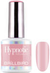 BrillBird TPO FREE Hypnotic HEMA Free Gel&Lac 8ml 5