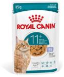 Royal Canin Ageing 11+ Jelly 12x85 g darabok zselében érett macskák számára 11 éves kor felett