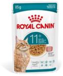Royal Canin Ageing 11+ Gravy 12x85 g darabok szószban idős macskák számára 11 éves kor felett