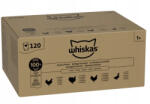 Whiskas Whiskas Baromfilakoma 120x85g Nedves Eledel Felnőtt Macskáknak Zselés Töltelékben
