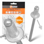 Polax 300x Törhető szegecsek 4, 8x8 mm Alumínium horganyzott Acél Strapabíró szegecs 9T (37-015(X6))