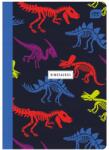 Interdruk füzet A5-16 Dupla Színes Vonal csontvázak Dinoszauruszok (5902277276018)