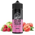 Steam Train - Derail 24ml/120ml