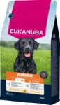 EUKANUBA Junior Large Breeds Chicken 15 kg száraz táp fiatal nagytestű kutyáknak friss csirkével